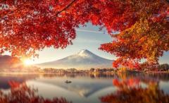 BLUE MOON cafe　花奈(かな)エロぽちゃ