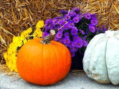 Spica(すぴか)　★かおる★電撃移籍入店決定！