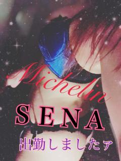 MICHELIN ミシュラン　セナ