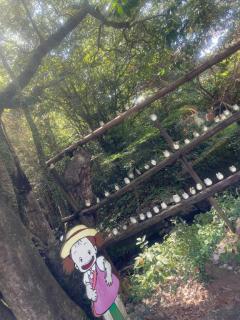 Spica(すぴか)　★さくらこ★WHITEコース