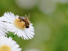 Spica(すぴか)　★かおる★電撃移籍入店決定！