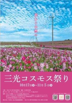 JaPON　環菜ｶﾝﾅ