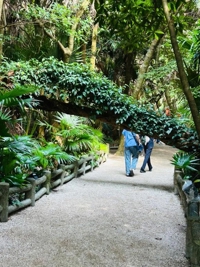 マドンナSANSAIN　りんか