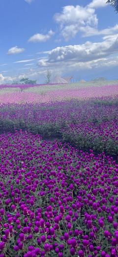 ぷにっ娘　楓ｶｴﾃﾞ