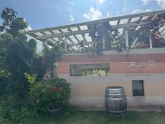 JaPON　環菜ｶﾝﾅ