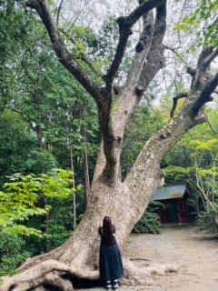 ぷにっ娘　元子ﾓﾄｺ