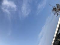 ママらんど宮崎店　りんか☆極上の美熟女