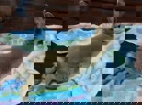 harmonyハーモニー　かおるこ(kaoruko)