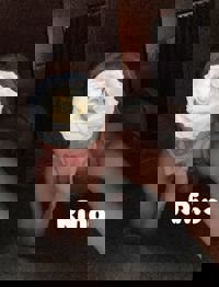 LOHAS(ロハス)　りの