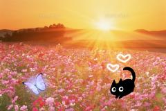 ご主人様いらっしゃい 大分店　キキ♡感度良好♡