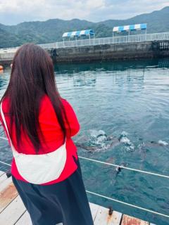 JaPON