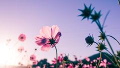 シングルママ　めい☆清楚綺麗妻