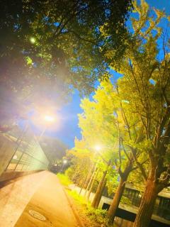 La Rouge　和音【かのん】