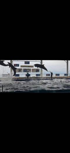 お休みをいただきました?