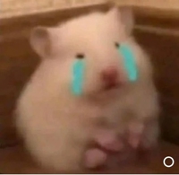 EXE【都城本店】　ぽち