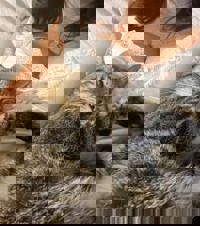 CLUB ULTRA　かおり