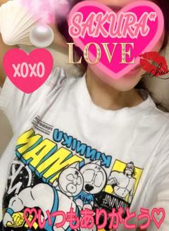 MICHELIN ミシュラン　サクラSakura