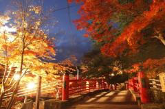 BLUE MOON cafe　花奈(かな)エロぽちゃ