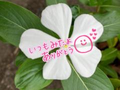 MANIN-ONREIマン淫御礼(大分市) 桃香（ももか）色白美人で癒し系