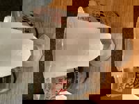 大人の遊園痴「スピーディー」　りつ（敏感で癒し系）