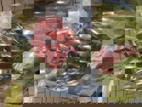 大人の遊園痴「スピーディー」　りつ（敏感で癒し系）