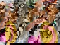 大人の遊園痴「スピーディー」　りつ（敏感で癒し系）