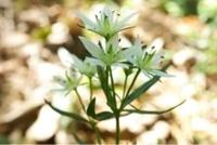 待ちナビ　きょうこ