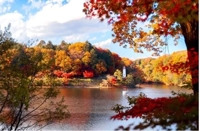 待ちナビ　まお