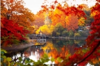 待ちナビ　まお