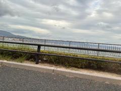 ぷにっ娘　真白ﾏｼﾛ