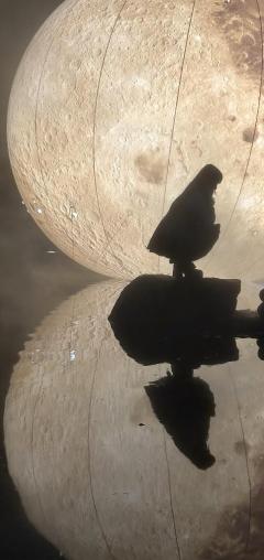 MANIN-ONREIマン淫御礼(大分市) 杏実（あみ）萌系変態人妻