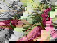 大人の遊園痴「スピーディー」　りつ（敏感で癒し系）