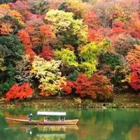 待ちナビ　みゆ