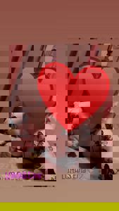 LOHAS(ロハス)　えま