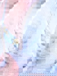 沖縄本舗　キキ-KIKI-