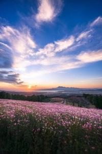 待ちナビ　しょう