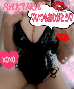 MICHELIN ミシュラン　サクラSakura