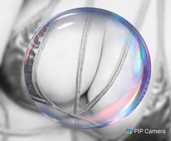 鶴富屋敷　ヒナ、(癒しの女王)