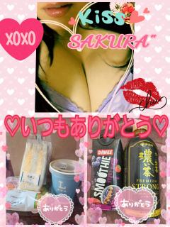 MICHELIN ミシュラン　サクラSakura