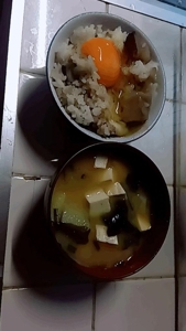 待ちナビ　せいこ