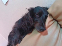 待ちナビ　せいこ