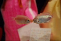 マドンナSANSAIN　あきな