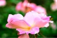 待ちナビ　きょうこ