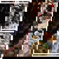 大人の遊園痴「スピーディー」　らむ（全てに興味あり）