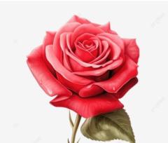 clubNOA ◆れいか◆