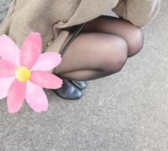 cherish　春陽（はるひ）