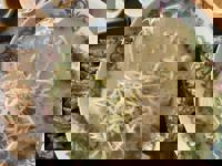 大人の遊園痴「スピーディー」　りつ（敏感で癒し系）