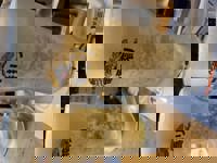 大人の遊園痴「スピーディー」　りつ（敏感で癒し系）