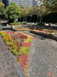 待ちナビ　あゆみ