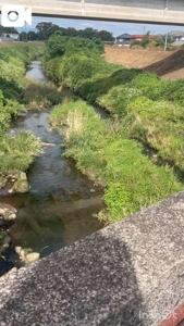 宮崎ちゃんこ都城店　こはる